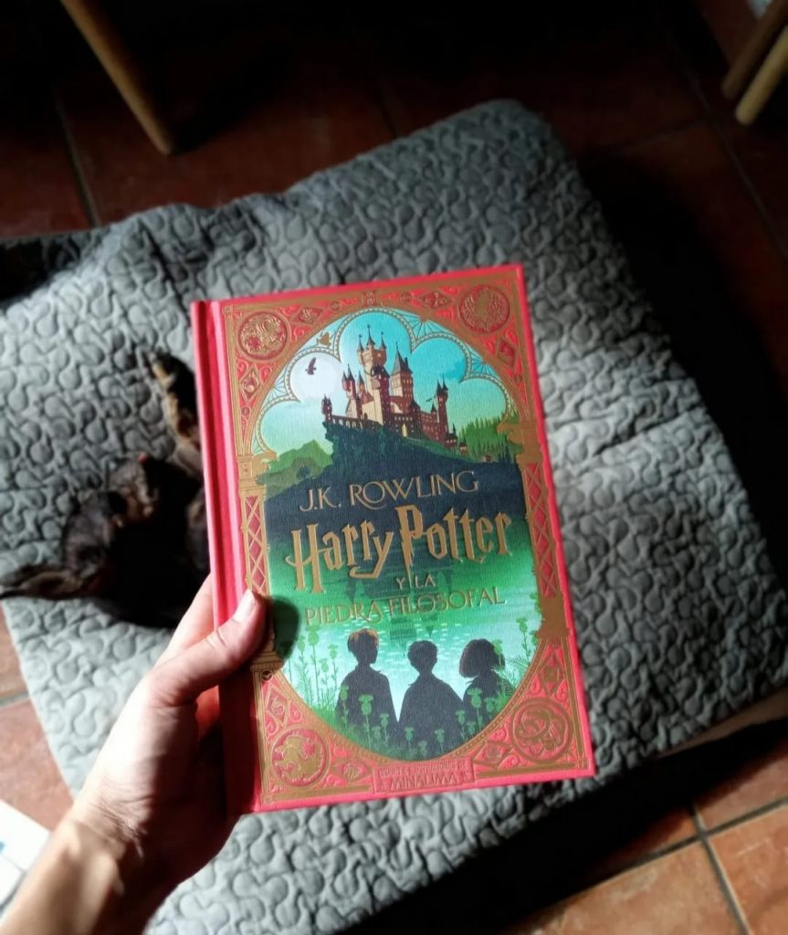 WhatsApp Image 2026 03 17 at 19.59.45 copia