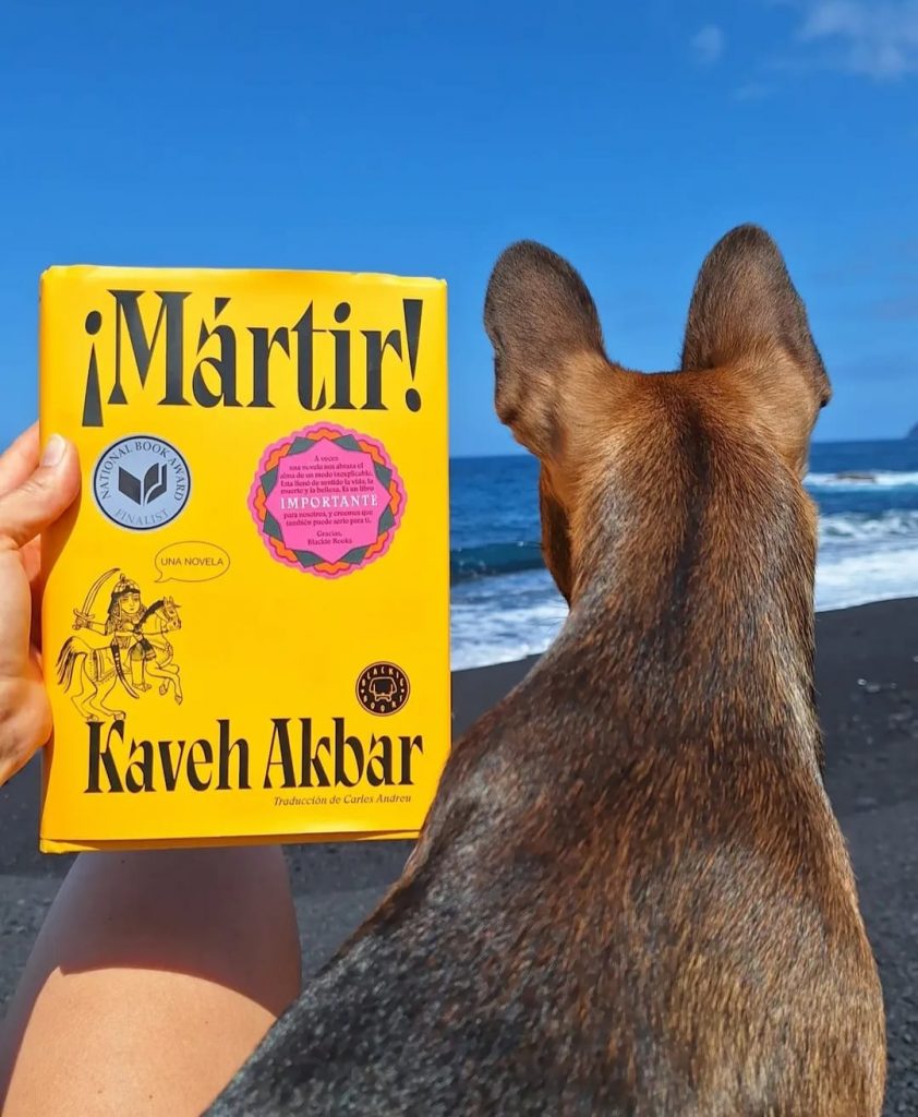 WhatsApp Image 2026 03 17 at 19.59.47 copia